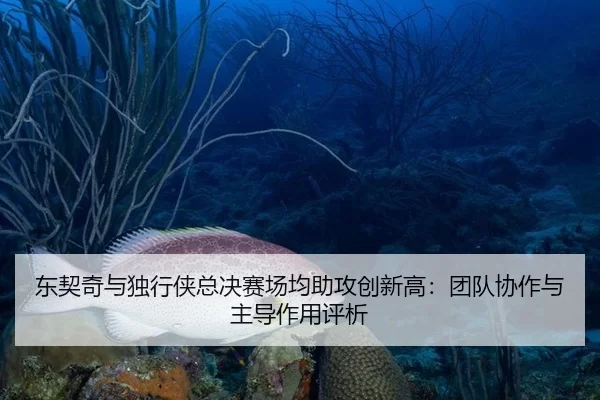东契奇与独行侠总决赛场均助攻创新高：团队协作与主导作用评析
